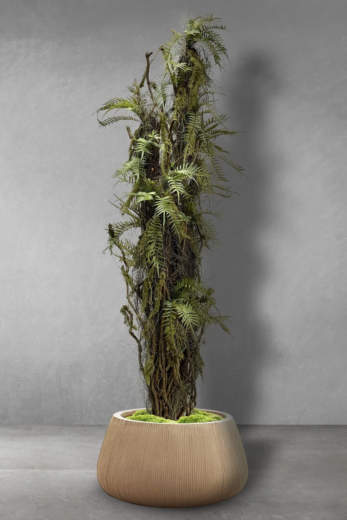 Choosing Tabletop Greenery and Glass Scenes
