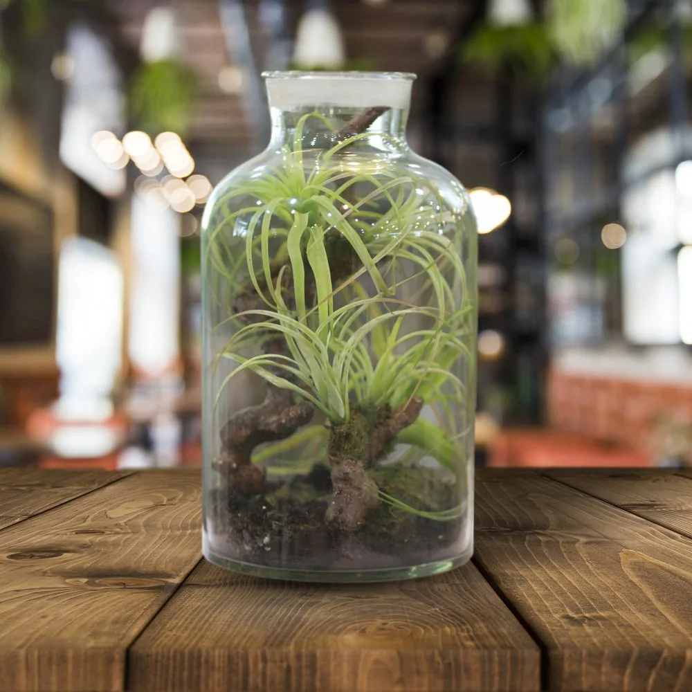 Artificial Glass Bottle Scene