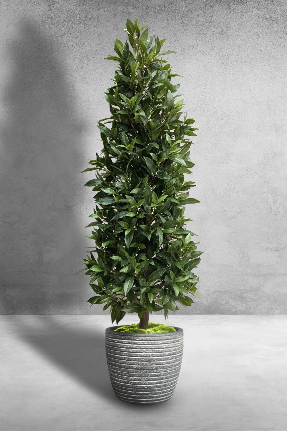Artificial Cypress and Topiary 2